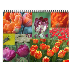 alleen tulpen kalender