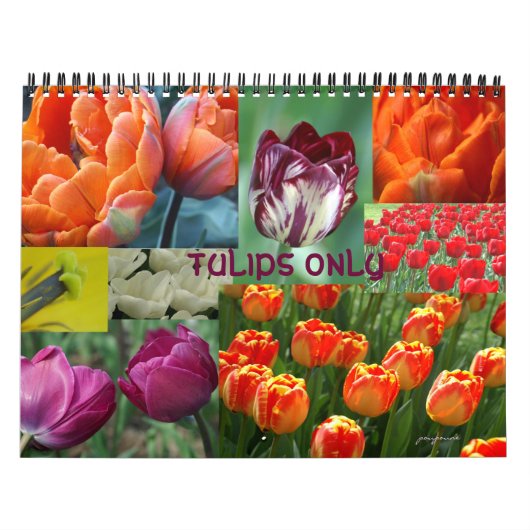 alleen tulpen kalender (Hoes)