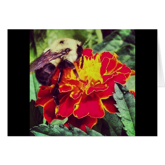 Alleen voor de bijen. (Voorkant Horizontaal)