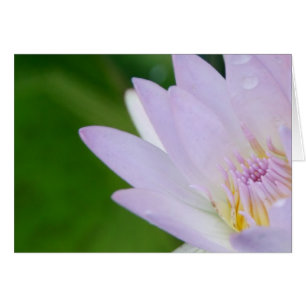 Alleen voor jou/Lotus in fotografie