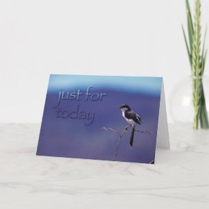 Alleen voor vandaag, Recovery Bird Support Kaart