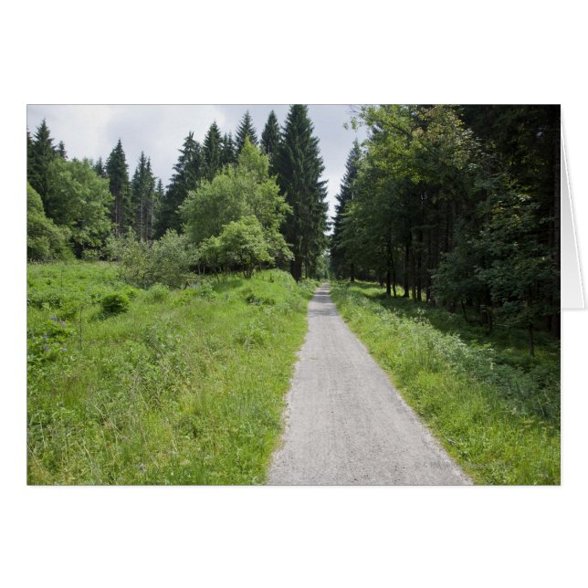 Allemagne, Thuringe, chemin en forêt (Devant horizontal)