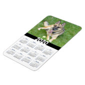 Allemand Shepherd Dog 2020 Calendrier Magnet (Côté Gauche)