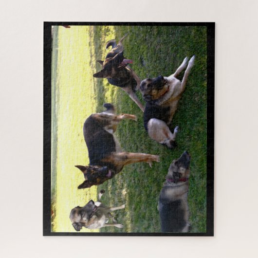 ALLEMAND SHEPHERD DOGS puzzle (Vertical)