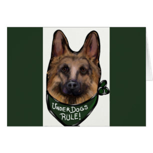 ALLEMAND SHEPHERD UNDERDOG