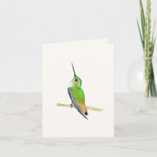 Allen's Hummingbird Kaart