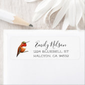 Allen's Hummingbird Return Address Label (Insitu)
