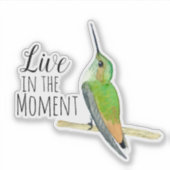 Allen's kolibrie Sticker (Voorkant)