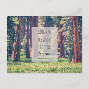 Aller à la forêt Carte postale