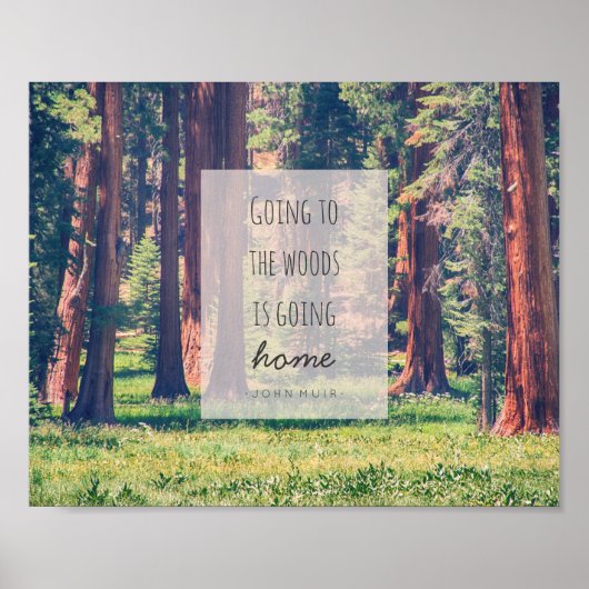 Aller à la forêt | Poster (Devant)