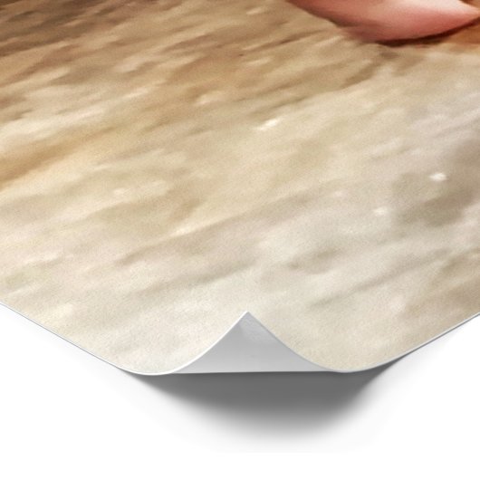 Aller, Aller, Gone Ballistic Archival Matte Poster (Coin)