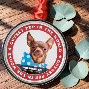 AllerCute Hond Ter Wereld Hondenhuisdier Foto Metalen Ornament