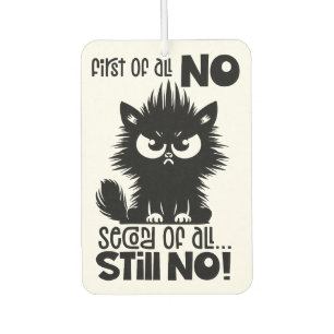 Allereerst, Geen Grappig Kattenliefhebber Cadeau Luchtverfrisser