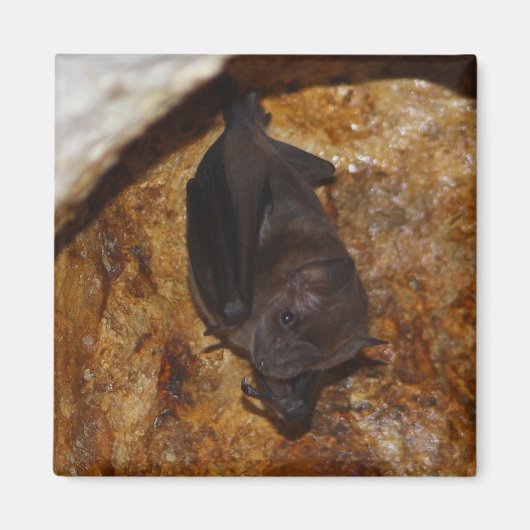 Alles alleen magneet (Voorkant)