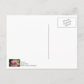 Alles in de war briefkaart (Achterkant)