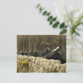 Alles in een Briefkaart (Staand voorkant)