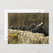 Alles in een Briefkaart (Voorkant / Achterkant)