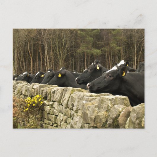 Alles in een Briefkaart (Voorkant)