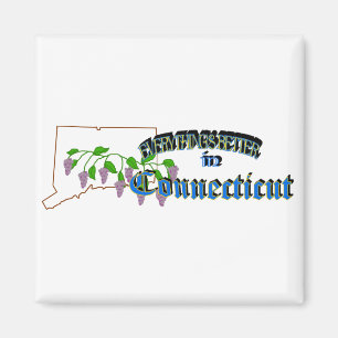Alles is beter in Connecticut Magnet Magneet