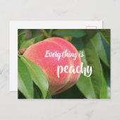 Alles is perachy / / / peach briefkaart (Voorkant / Achterkant)
