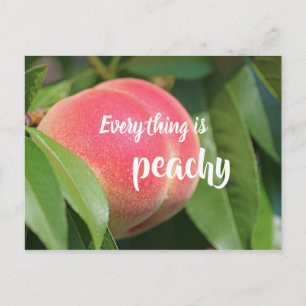 Alles is perachy / / / peach briefkaart