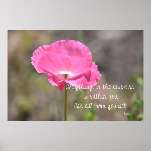 Alles klaproos poster (Voorkant)