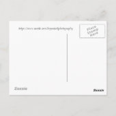 Alles langs de Narrows Briefkaart (Achterkant)