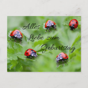Alles Liebe zum Geburtstag! Briefkaart