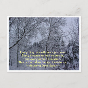 Alles op aarde briefkaart