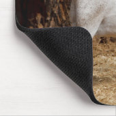 Alles over paardenpeuk met ziggie muismat (Hoek)