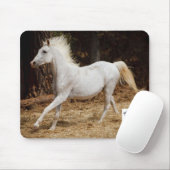 Alles over paardenpeuk met ziggie muismat (Met muis)