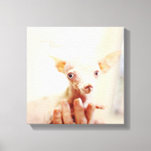Alles Rosie Photo Canvas Afdruk