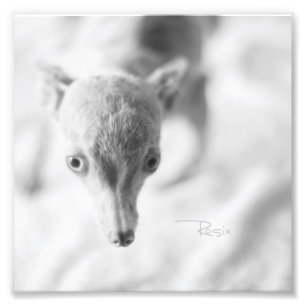 Alles Rosie Photo Foto Afdruk