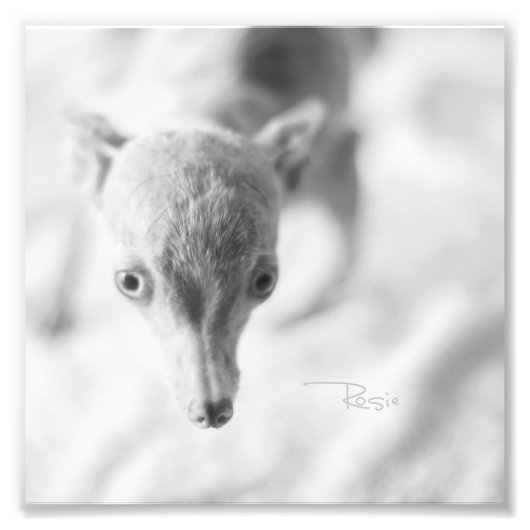 Alles Rosie Photo Foto Afdruk (Voorkant)