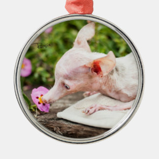 Alles Rosie Photo Ornament