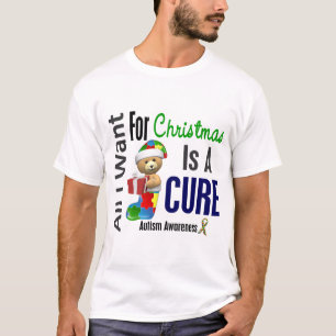 Alles wat ik voor kerstautisme wil t-shirt