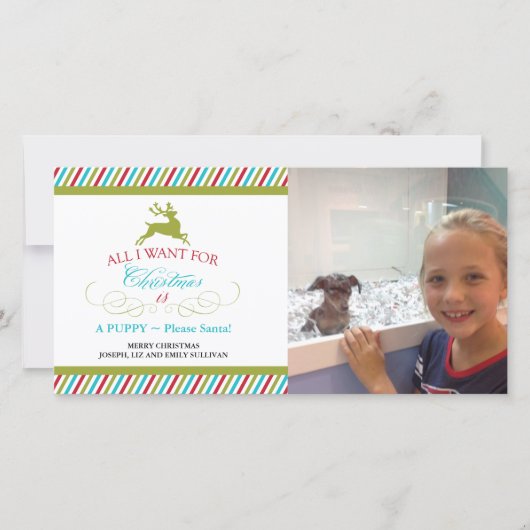 Alles wat ik voor Kerstmis wil Feestdagenkaart (Voorkant)