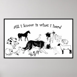 Alles wat ik weet is wat ik overhoop~Border Collie Poster
