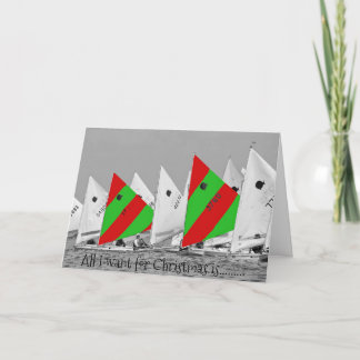 Alles wat ik wil voor Kerstmis is een zonnevis Feestdagen Kaart