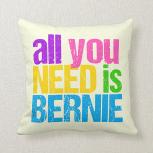 Alles wat je nodig hebt is Bernie Sanders Kussen