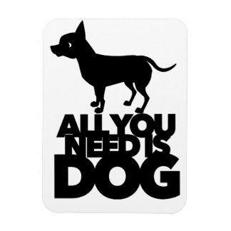 Alles wat je nodig hebt is een hond Schattige Chih Magneet