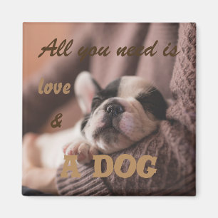 Alles wat je nodig hebt is liefde en een hond magneet