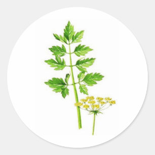 Alles wat je nodig hebt is Lovage Ronde Sticker