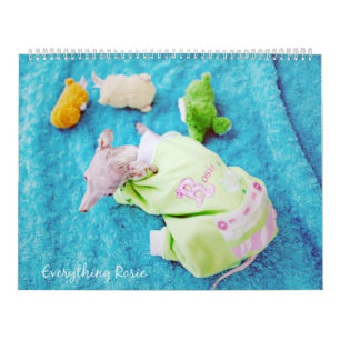 Alles wat Rosie Calendar Kalender