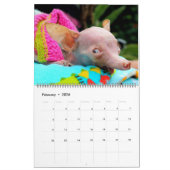 Alles wat Rosie Calendar Kalender (Feb 2026)