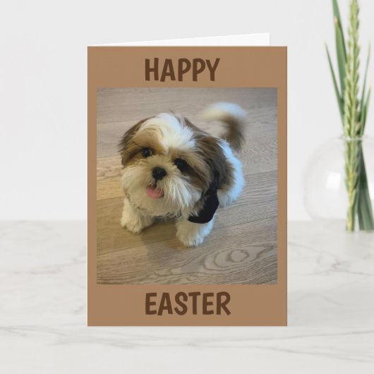 ALLES WAT U ZO EENS MOET DOEN. FEESTDAGEN KAART (Voorkant)