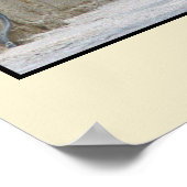 Alley Cat - Malta Poster (Hoek)