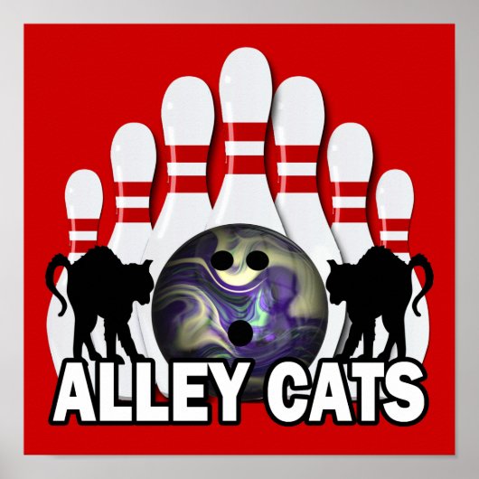 Alley Cats Poster (Voorkant)