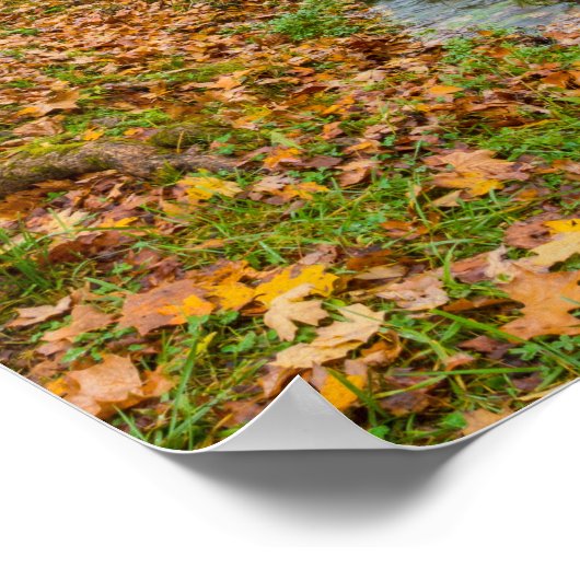 Alley Mill Dans L'Automne Poster (Coin)