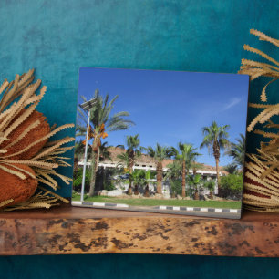 Alley of date palms fotoplaat